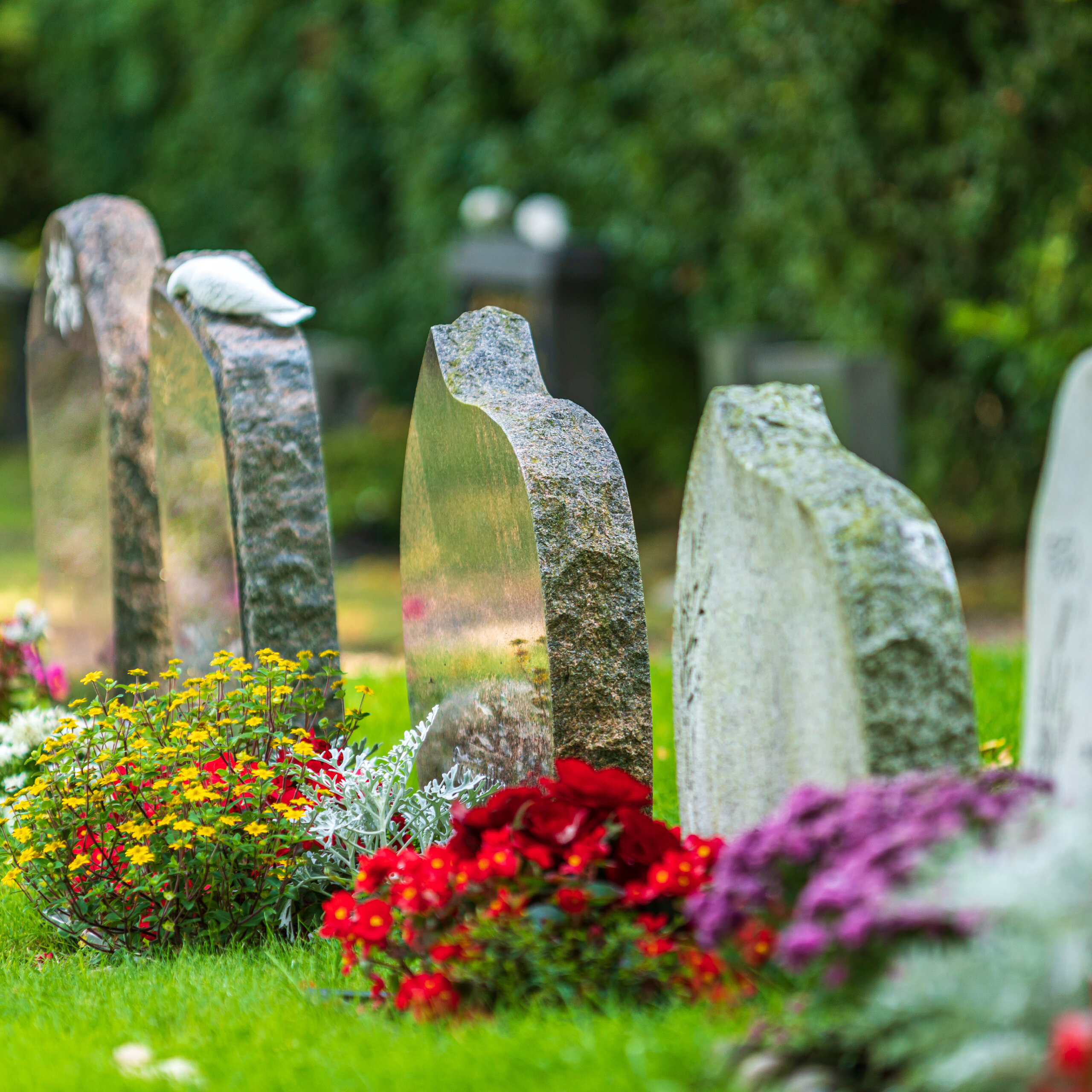 gravestones