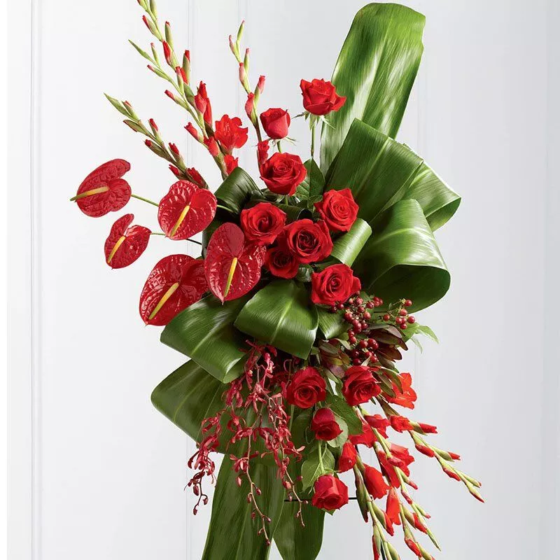 Red flowers