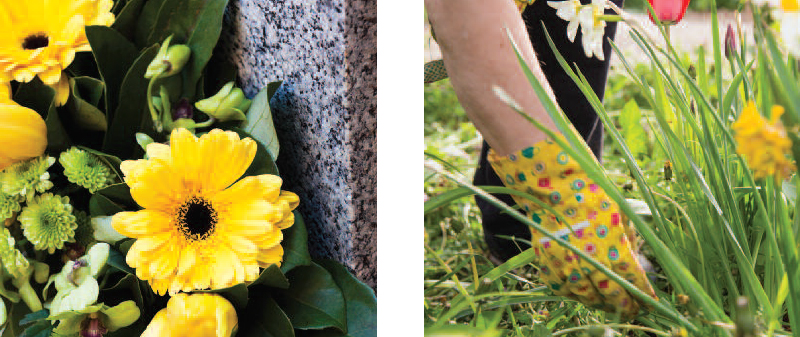 Fresh Flowers