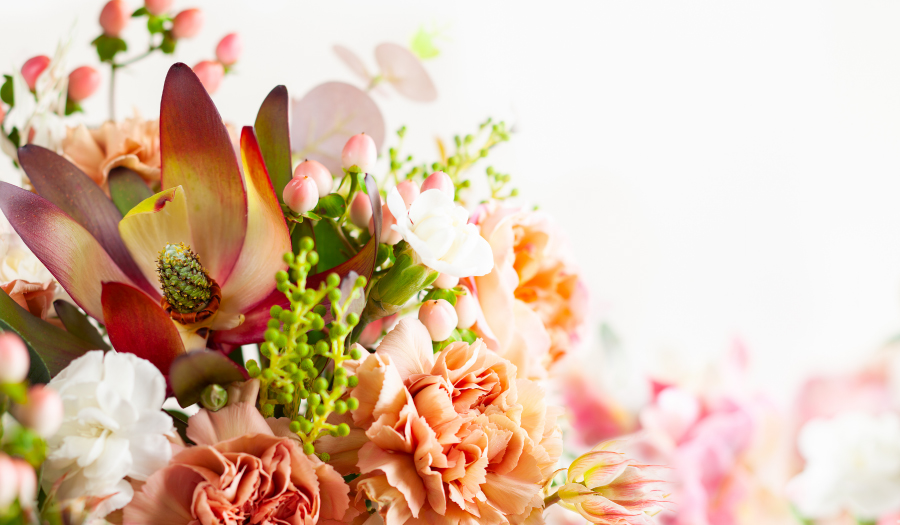 beautiful flowers