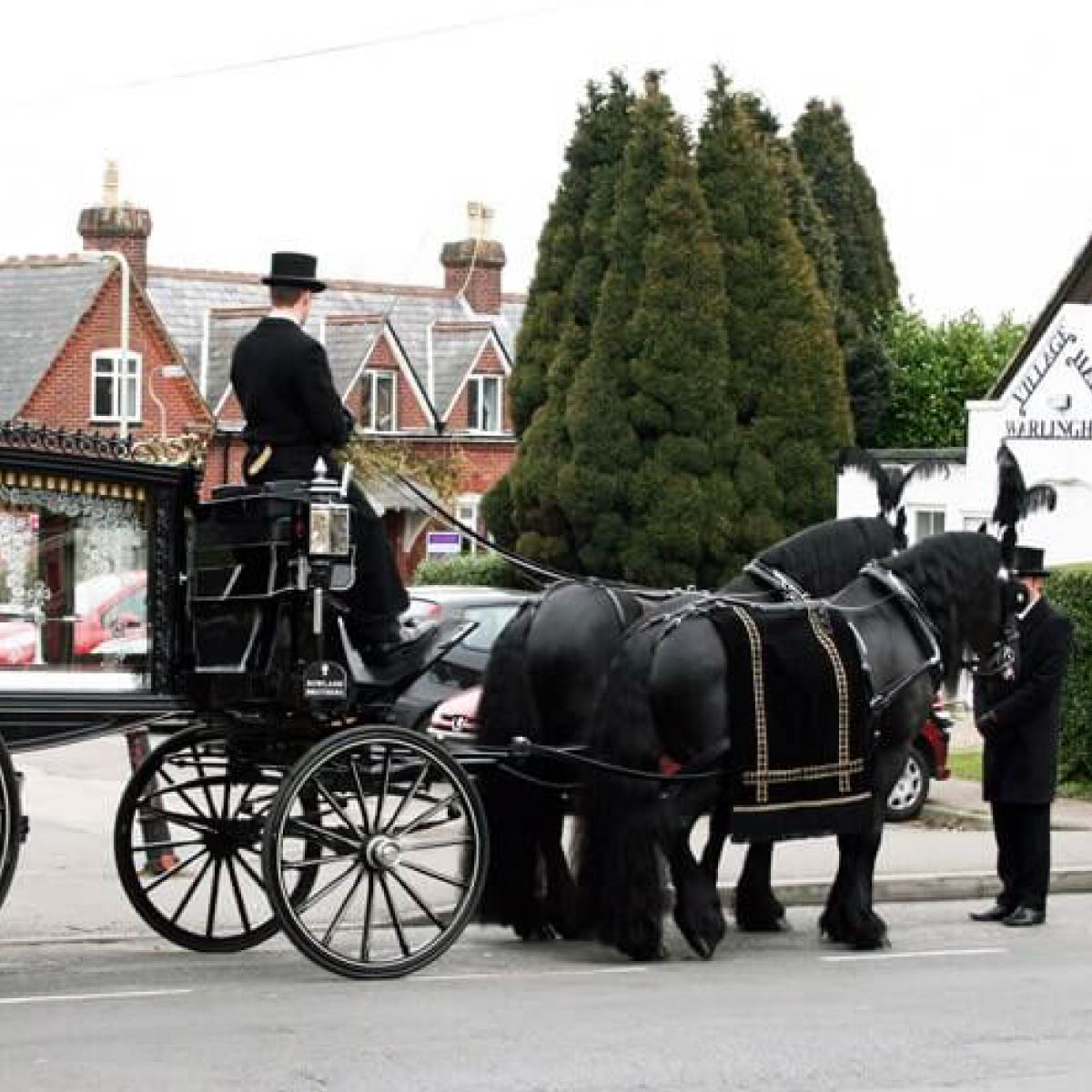 Horse hurse