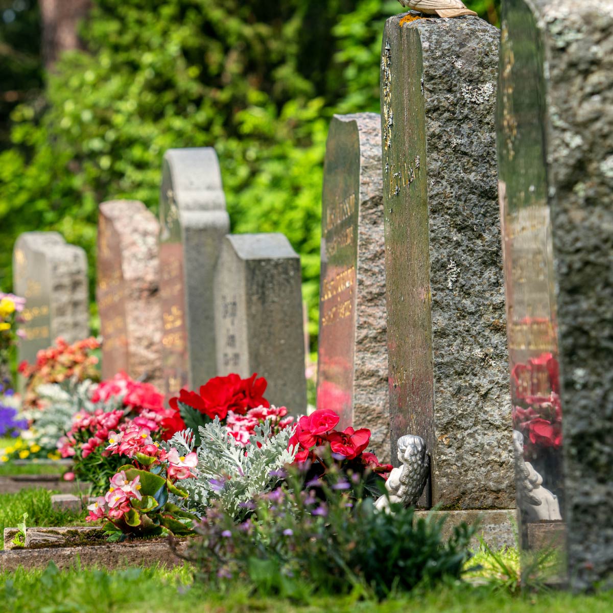 Direct Cremation