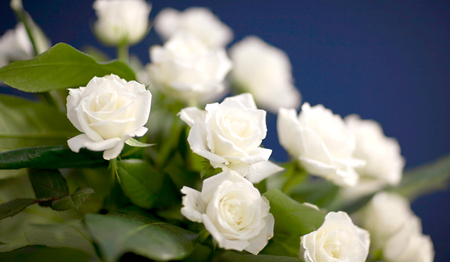 Flowers or Charitable Donations?