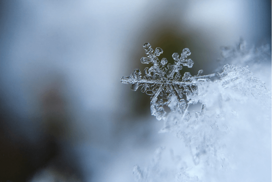 Are You Struggling With Grief This Winter?